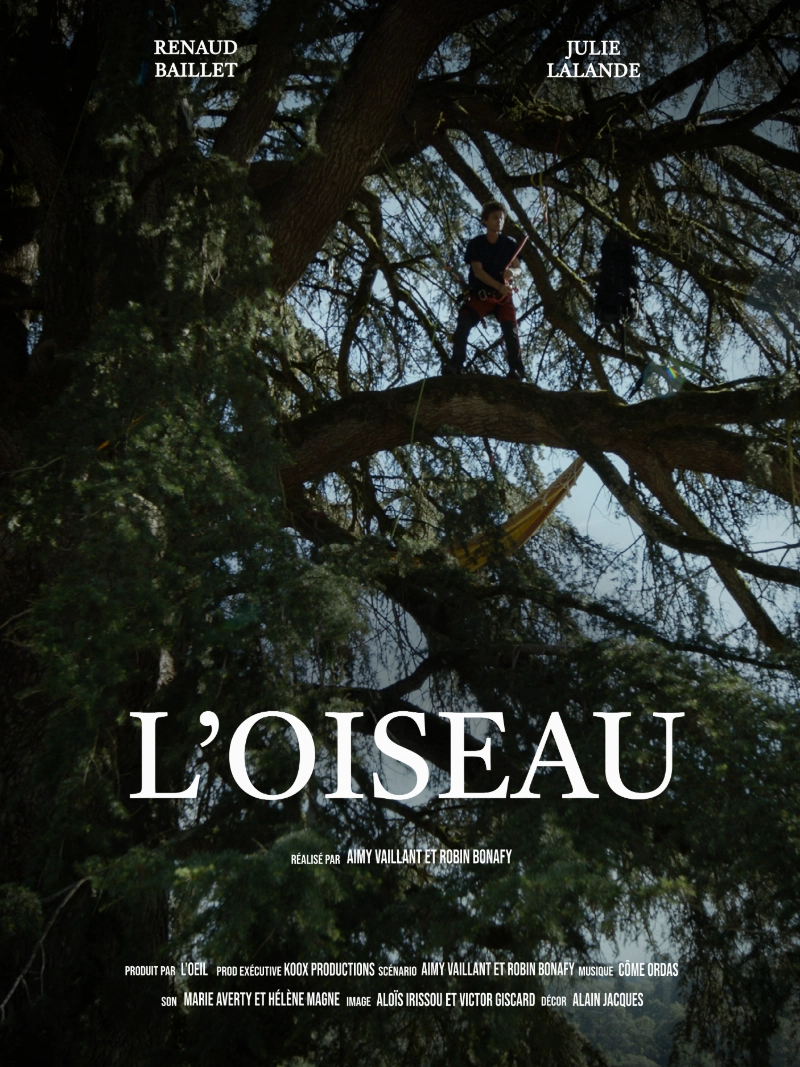 L'oiseau